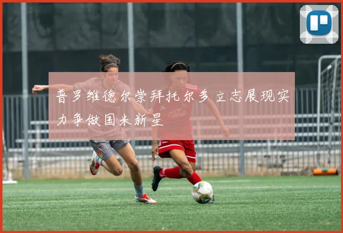 普罗维德尔崇拜托尔多立志展现实力争做国米新星
